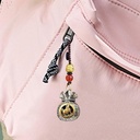 MONEDA DE ALEACION DE LOS CINCO EMPERADORES PIXIU