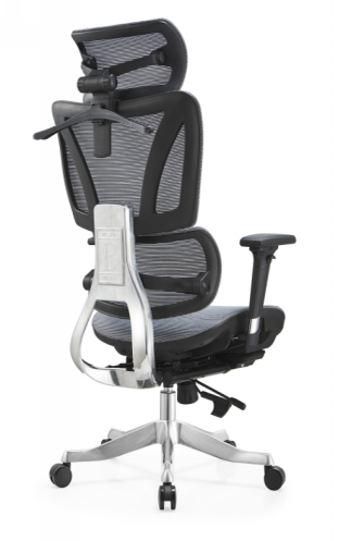 SILLA 2023