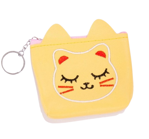 CARTERA PEQUEÑA CON DISEÑOS