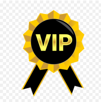 VIP: VIP YOUTASTY